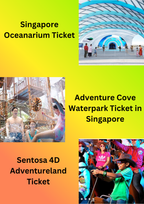 Singapore Attractions