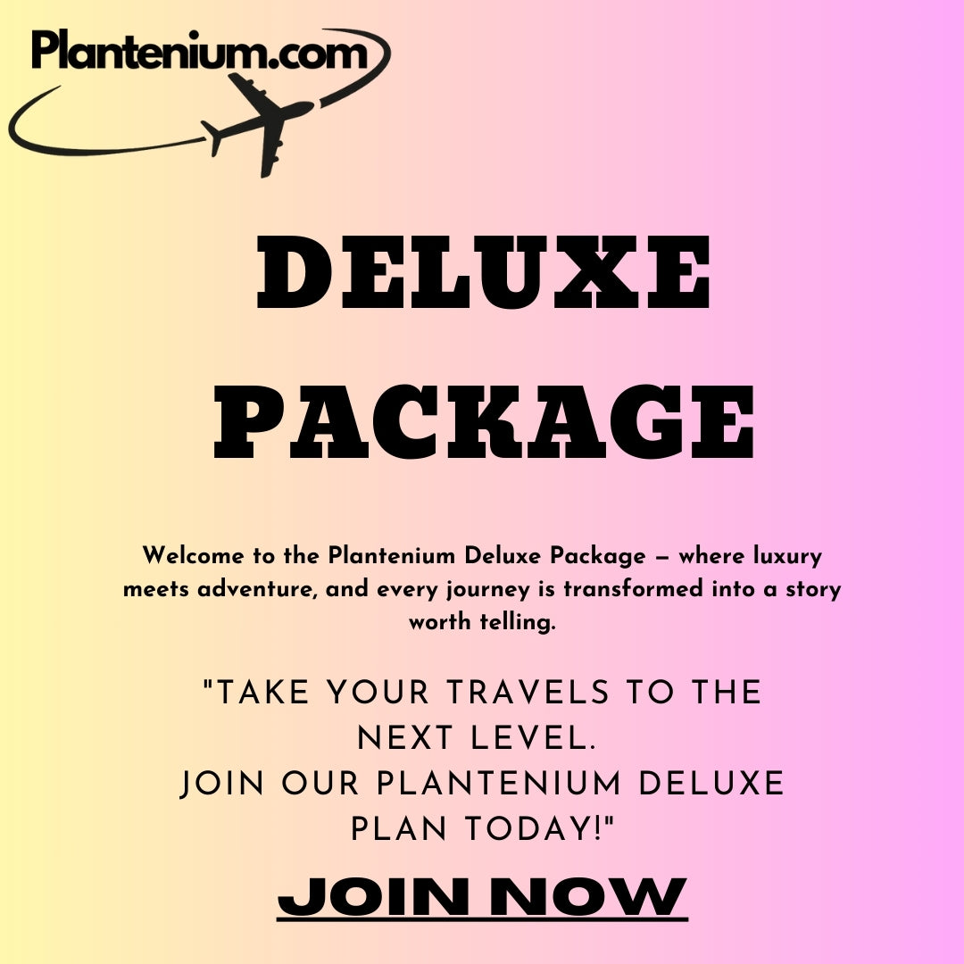 Deluxe Service Package