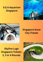 Singapore Attractions
