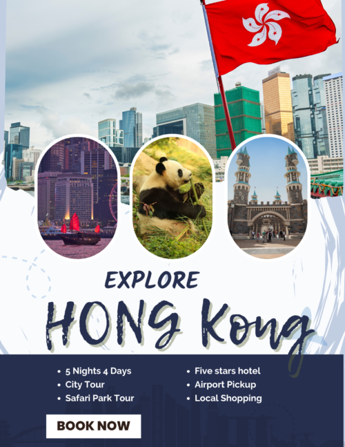 Blue and White Singapore Travel Flyer Hongkong Package